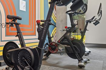 Cardio and strength training fitness center featuring echelon smart connect exercise bikes, hiit hub with trx suspension trainer, free weights